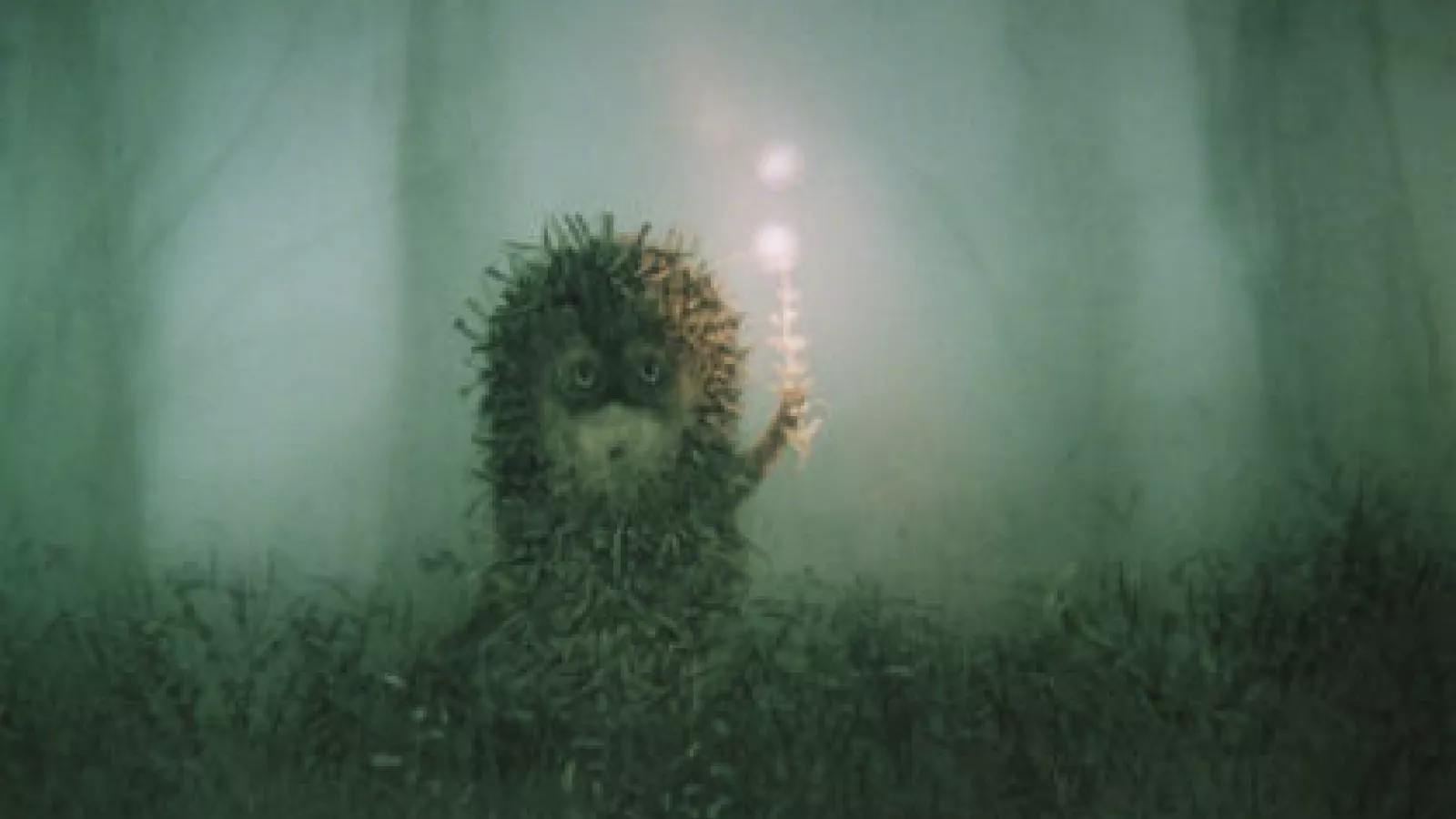 Le petit hérisson dans la brume